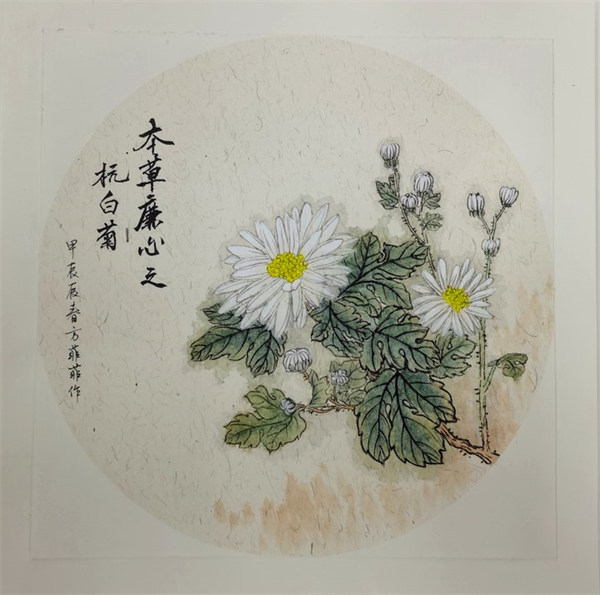 《本草连心》方菲菲.jpg
